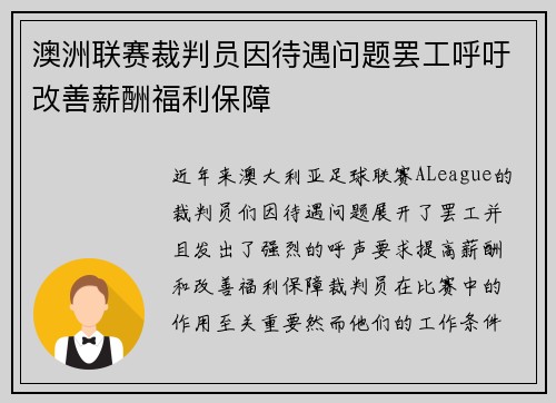 澳洲联赛裁判员因待遇问题罢工呼吁改善薪酬福利保障