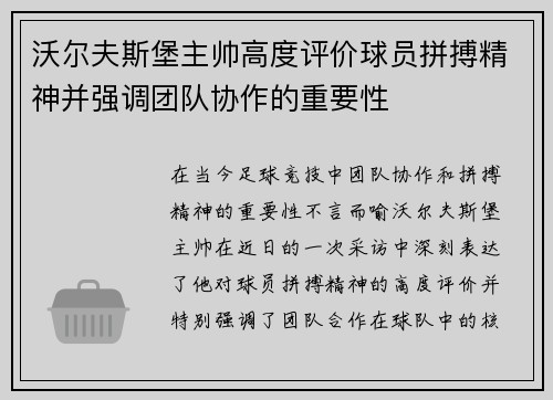 沃尔夫斯堡主帅高度评价球员拼搏精神并强调团队协作的重要性